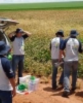 Imagem de Rally da Safra passou por Rio Verde