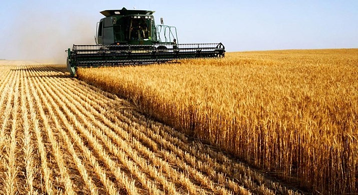 Imagem de Agro bate recorde no Brasil, e Rio Verde lidera exportações de Goiás