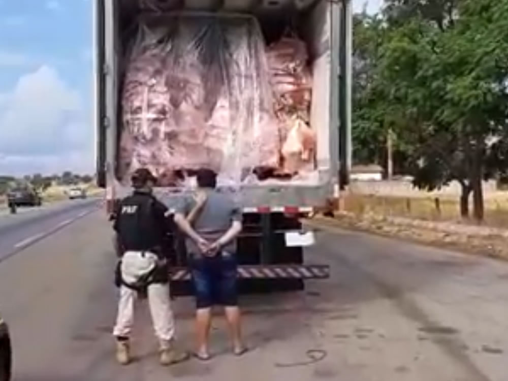 Imagem de PRF e DECAR prendem motorista com 30 toneladas de carne roubada na BR-060