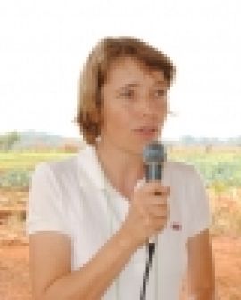 Imagem de Acontece hoje reunião do Conselho de Agricultura