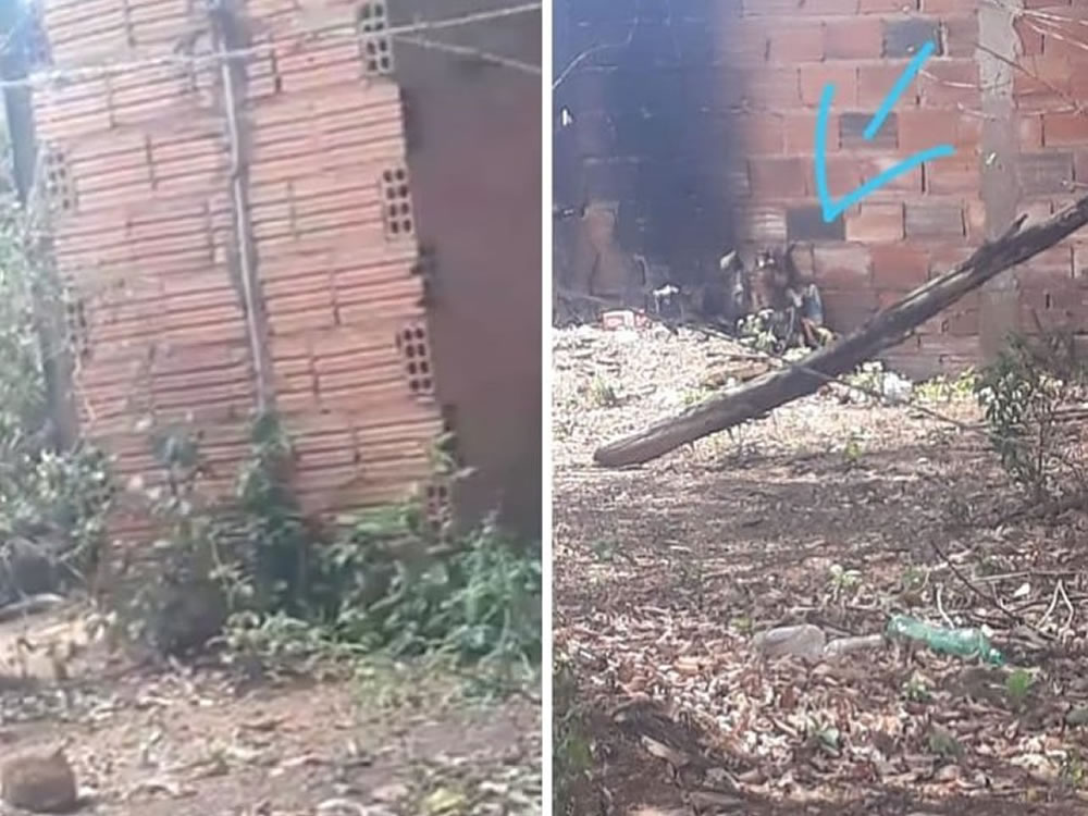 Imagem de Homem degola e ateia fogo em cachorro em Rio Verde