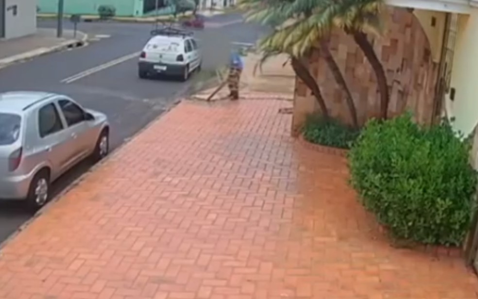 Imagem de Homem furta lixeira presa ao chão em Rio Verde
