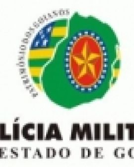 Imagem de Drogado tenta bater na avó