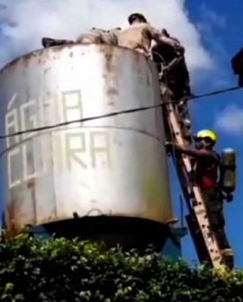 Imagem de Bombeiros resgatam homem que desmaiou em cima de caixa d’água em Santa Helena