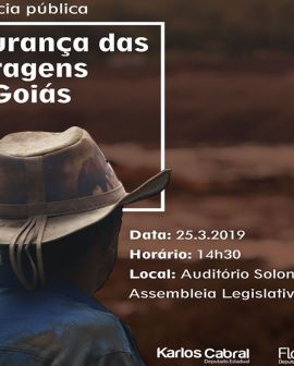 Imagem de Flávia Morais e Karlos Cabral realizam audiência pública sobre barragens em Goiás
