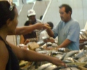 Imagem de Preço de peixes varia até 140%
