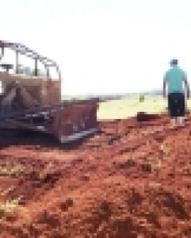 Imagem de Poder público busca preservar meio-ambiente