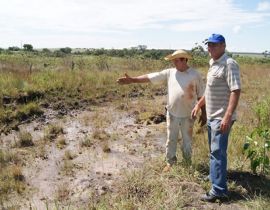 Imagem de Assentados plantam mil mudas