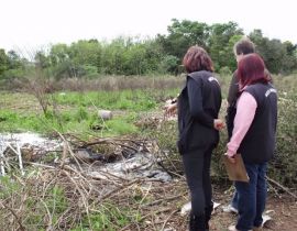 Imagem de Prefeitura intensifica fiscalização ambiental