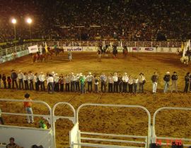 Imagem de Rodeio de Rio Verde mais uma vez é campeão