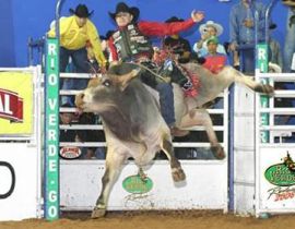 Imagem de Rodeio de Rio Verde concorre a prêmio