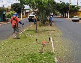 Imagem de Preparando-se para o Natal