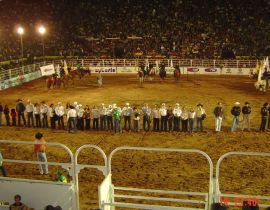 Imagem de Surpresas no rodeio