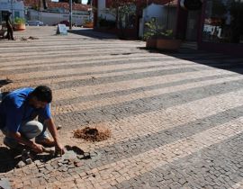 Imagem de Calçadão passa por reformas