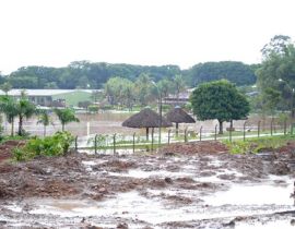 Imagem de Chuva forte provoca estragos em Rio Verde