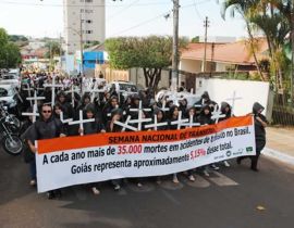 Imagem de Manifesto pela vida