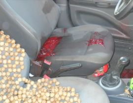 Imagem de Instrutor de auto-escola assassinado