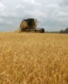 Imagem de Revendo a modernização conservadora da agricultura