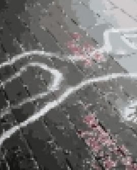 Imagem de Assassinato no Setor Alvorada