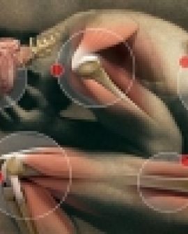 Imagem de Anos de dor