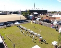 Imagem de Qualidade genética de Nelore e Nelore Mocho reforçam a 60ª Expo Rio Verde