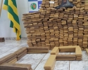 Imagem de PM apreende 600kg de maconha