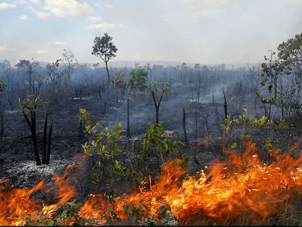 Imagem de Produtores rurais se unem para traçar estratégias emergenciais contra as queimadas