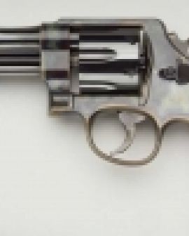 Imagem de Homem detido com arma no Parque Bandeirantes