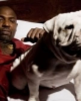 Imagem de Mr. Catra fará show na Enjoy