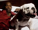 Imagem de Mr. Catra fará show na Enjoy
