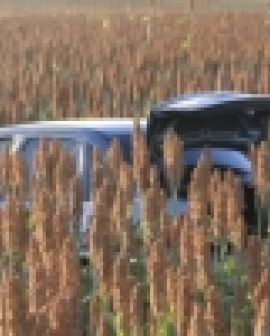 Imagem de Homem é vitima de sequestro relâmpago em Rio Verde