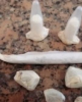 Imagem de Maconheiro preso no Rassini