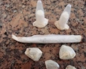Imagem de Maconheiro preso no Rassini