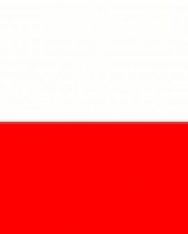 Imagem de Polônia quer ampliar negócios com Goiás