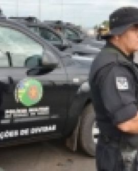 Imagem de Polícia apreende 800 kg de maconha