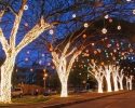 Imagem de Decoração de natal será inaugurada oficialmente hoje