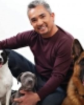 Imagem de Psicólogo de bicho é coisa de doido?