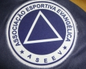 Imagem de Confira o elenco do Evangélica para a Divisão de Acesso