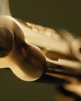 Imagem de Tentativa de assassinato no Jardim Presidente