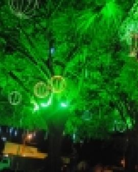 Imagem de Decoração natalina será inaugurada hoje