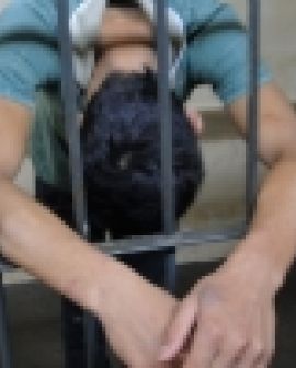 Imagem de Menores assassinos detidos pela Polícia Civil