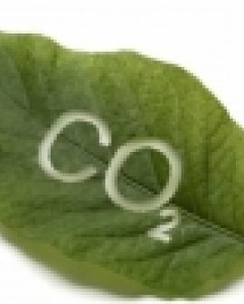 Imagem de Agricultura de baixa emissão de carbono é tema de curso