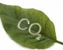 Imagem de Agricultura de baixa emissão de carbono é tema de curso