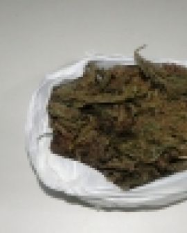 Imagem de Casal preso com drogas no Dom Miguel