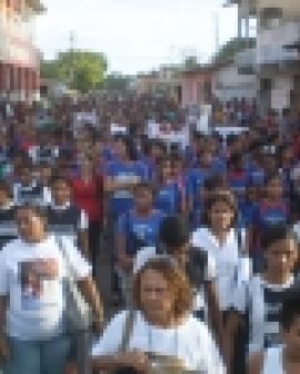 Imagem de Câmara apoia movimento contra erradicação do trabalho infantil