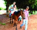 Imagem de Equoterapia atende alunos no Dona Gercina