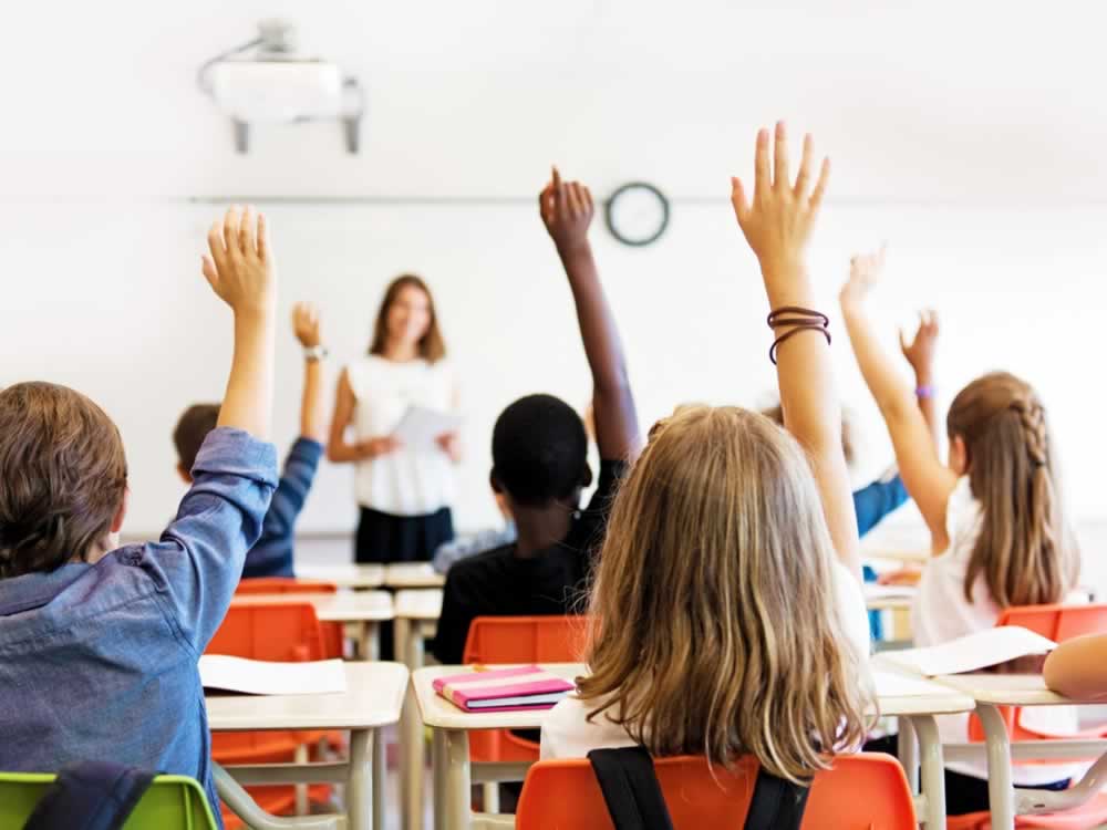 Imagem de Deputados aprovam projeto que proíbe ensino de ideologia de gênero em Goiás
