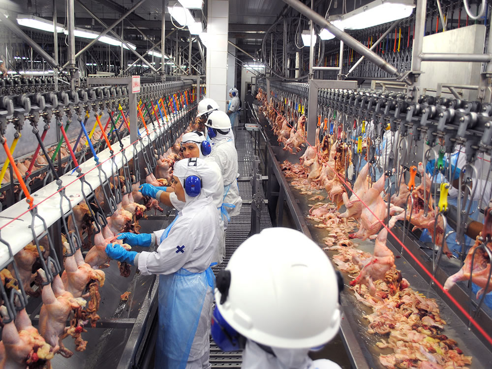 Imagem de BRF deve acompanhar funcionários contaminados até a total recuperação