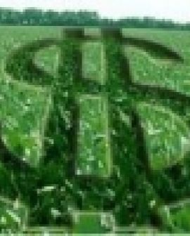 Imagem de Seminário discute mercado agrícola