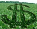 Imagem de Seminário discute mercado agrícola